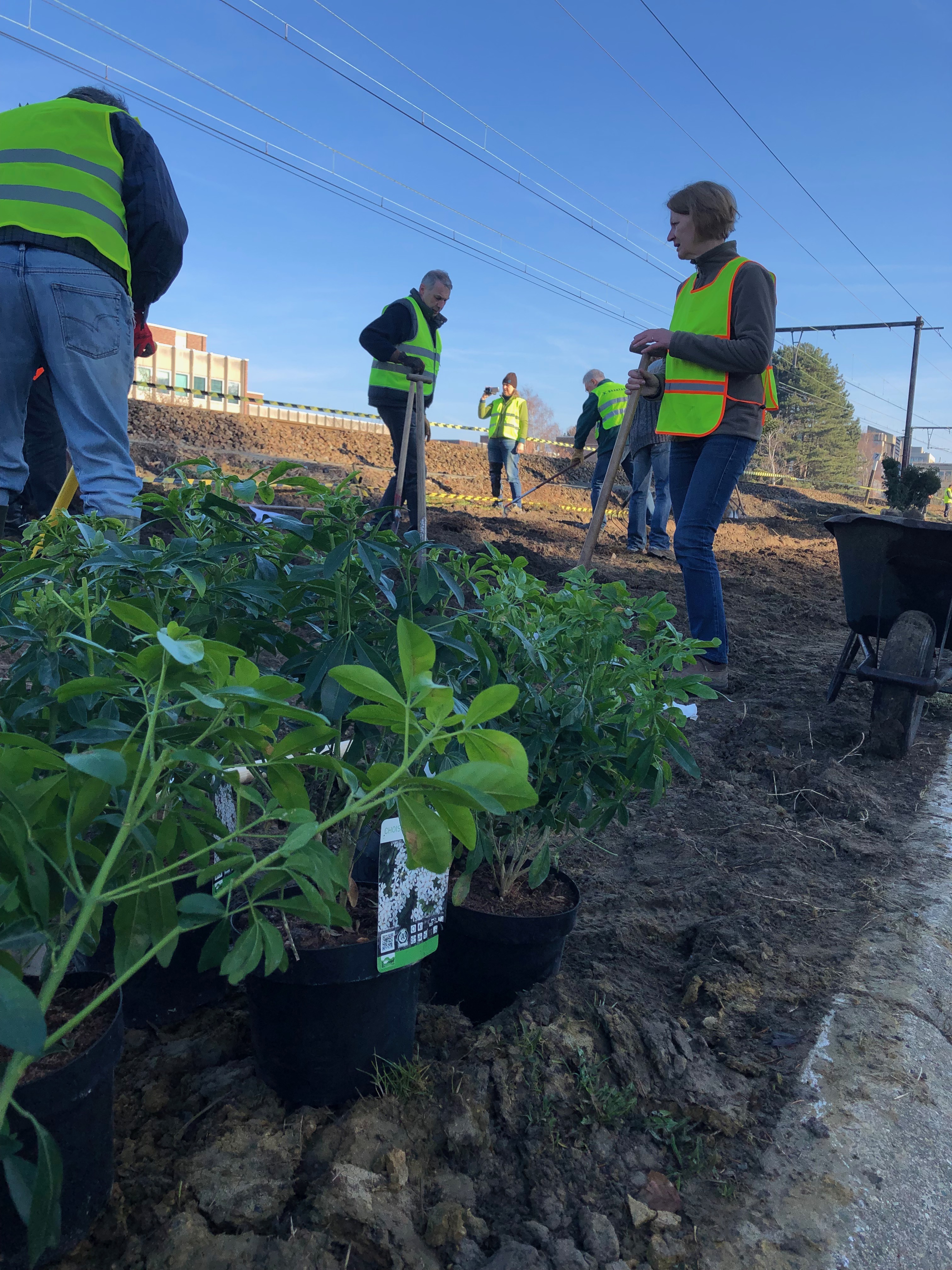 Un comité de quartier enjolive un talus ferroviaire.