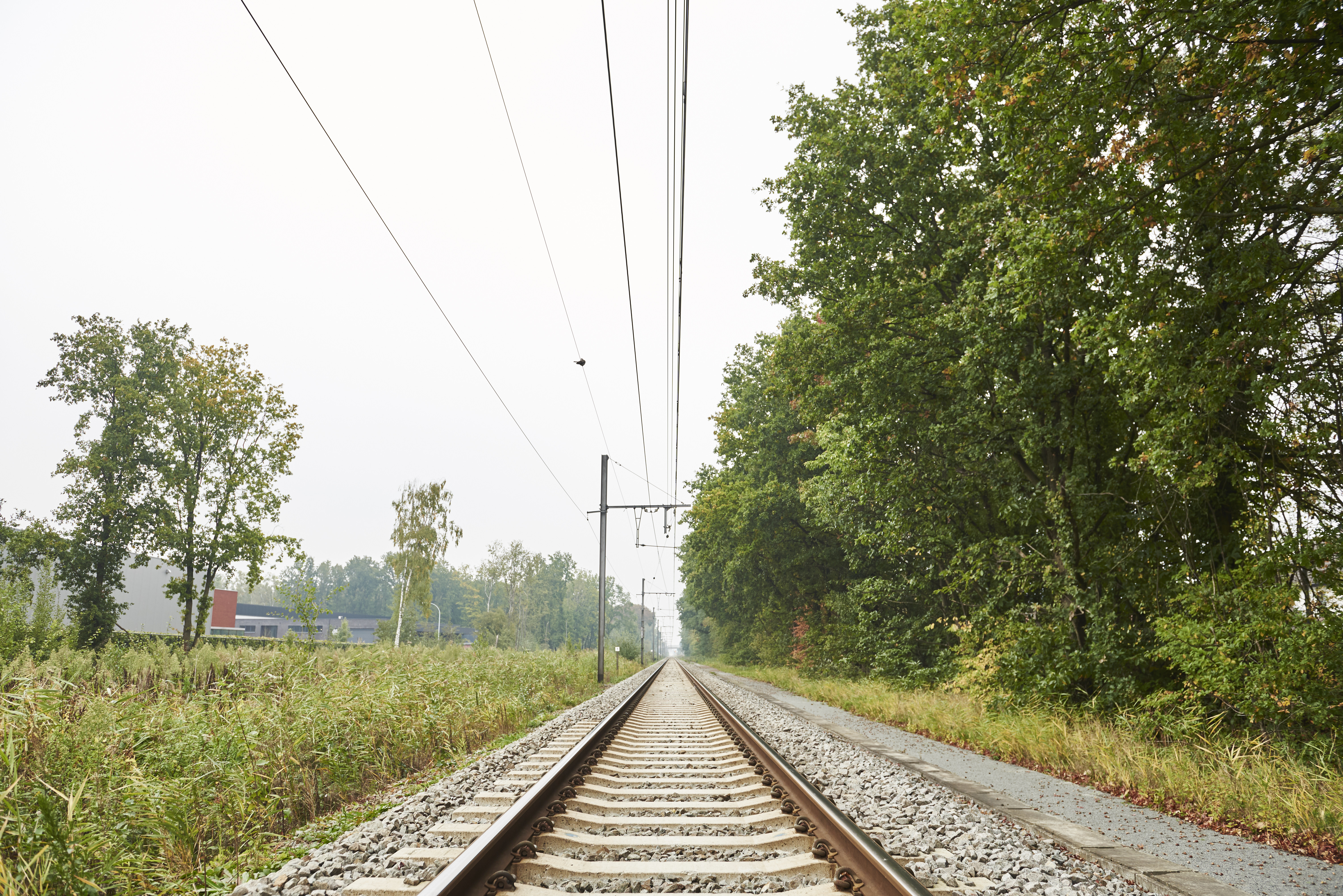 Végétation le long des voies Végétation le long des voies.