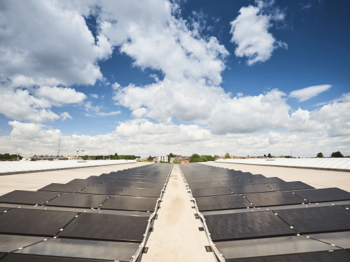 Zonnepanelen Bascoup.
