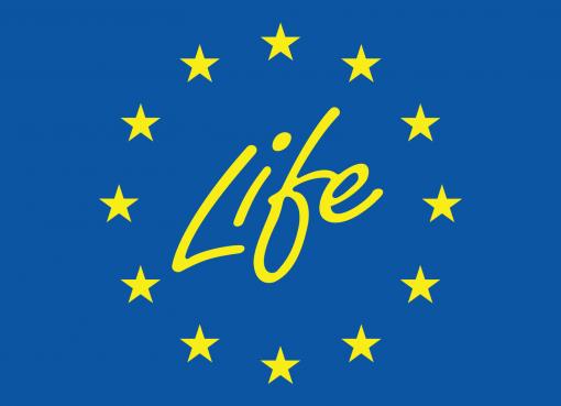 Logo medegefinancierd door de Europese Unie.