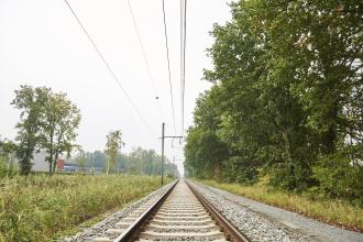 Végétation le long des voies.